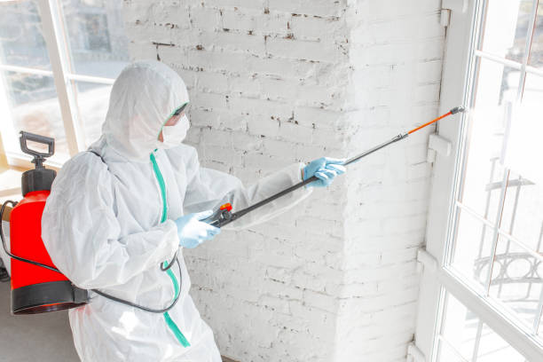 Best Attic Mold Removal  in Campbelltown, PA